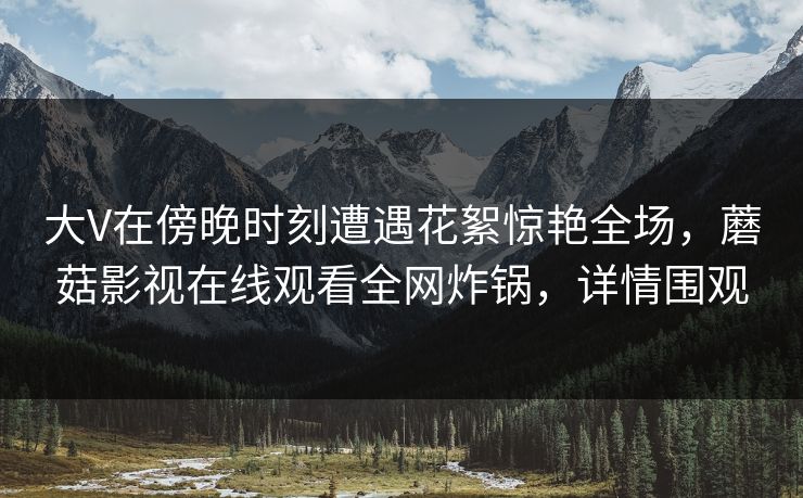 大V在傍晚时刻遭遇花絮惊艳全场，蘑菇影视在线观看全网炸锅，详情围观