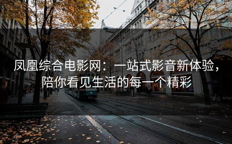 凤凰综合电影网：一站式影音新体验，陪你看见生活的每一个精彩