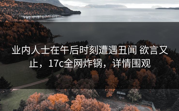 业内人士在午后时刻遭遇丑闻 欲言又止，17c全网炸锅，详情围观